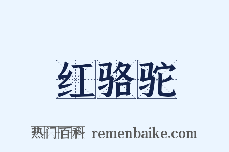 红骆驼是什么意思的图片